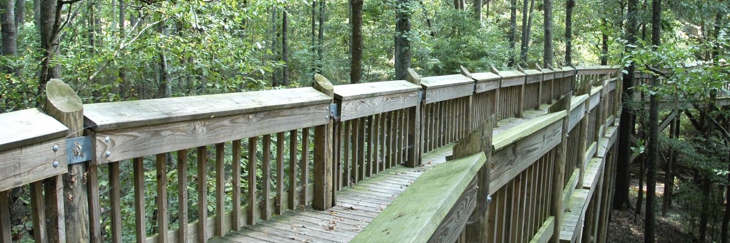 Crystal Springs • Mississippi